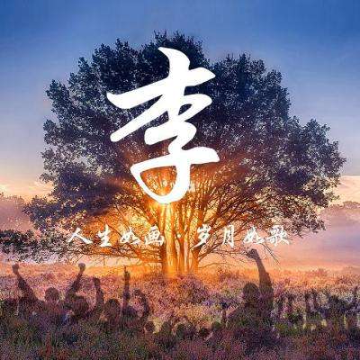 光明记忆华为体验版下载